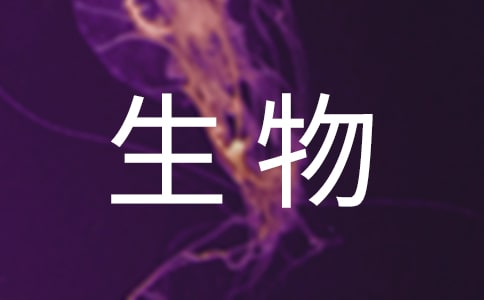 構(gòu)建初中生物“活動(dòng)課”模式的嘗試