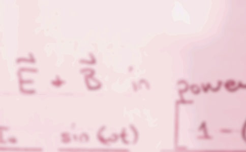 小班數(shù)學(xué)活動(dòng)教案:數(shù)動(dòng)物