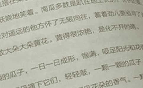 有趣的語文作文集錦六篇